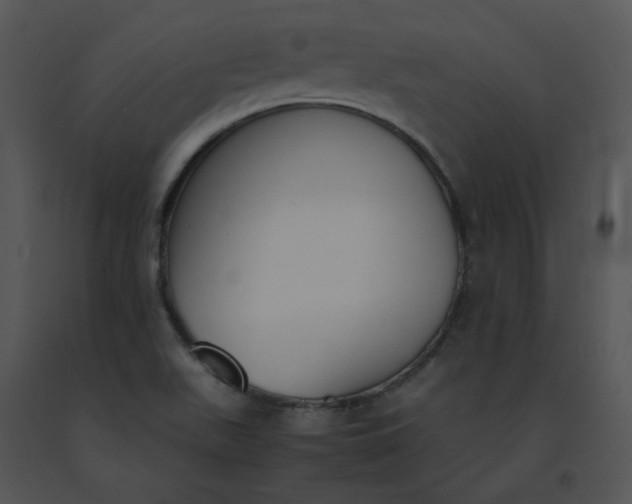 X0000091521511200708311237