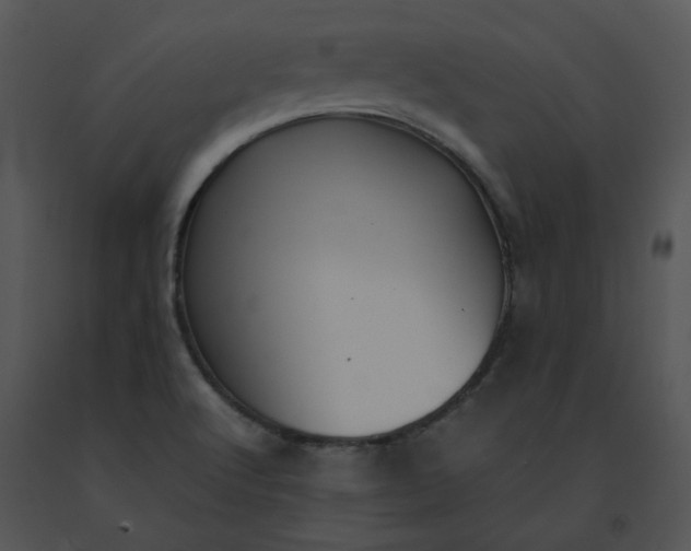 X0000091521512200708311237