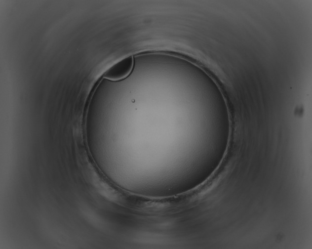 X0000091521513200708311237