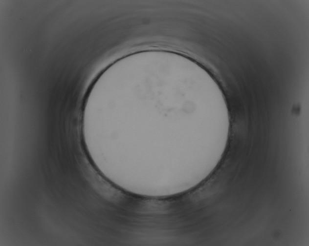 X0000091521514200708311237