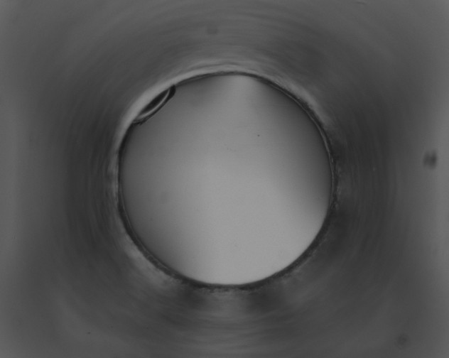 X0000091521516200708311237