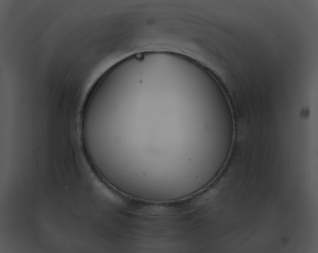 X0000091521517200708311237