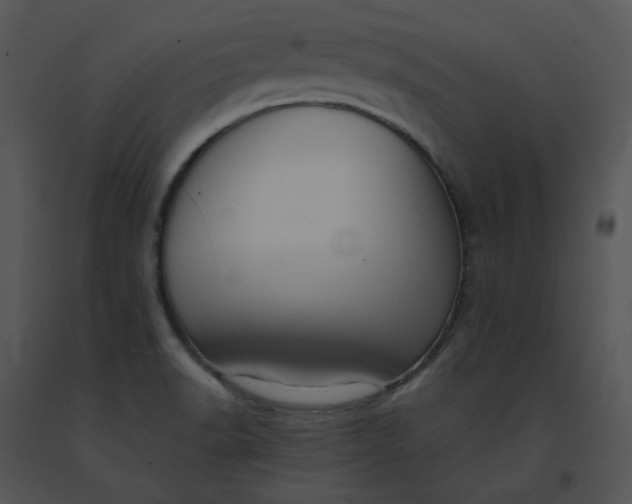 X0000091521518200708311237