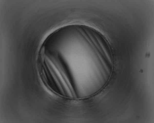 X0000091521519200708311237