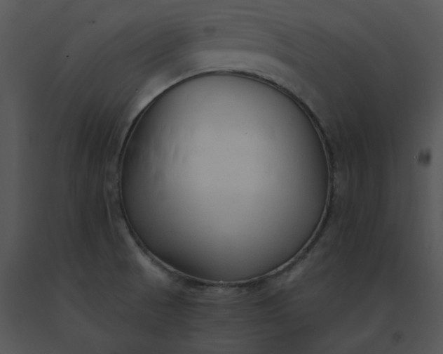X0000091521521200708311237