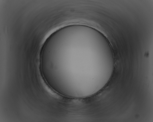 X0000091521523200708311237
