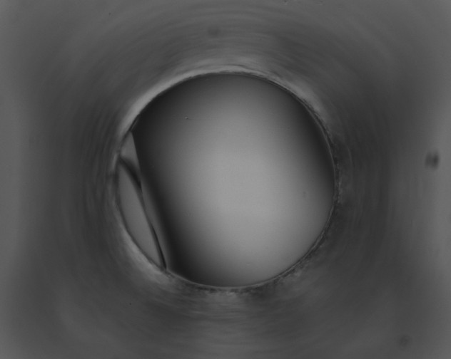 X0000091521524200708311237