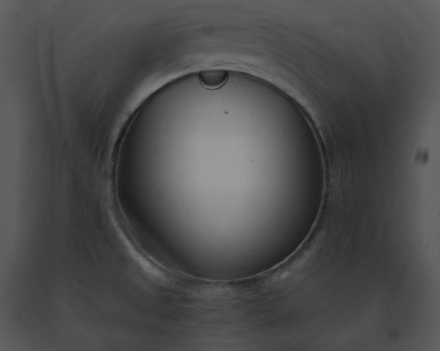 X0000091521525200708311237
