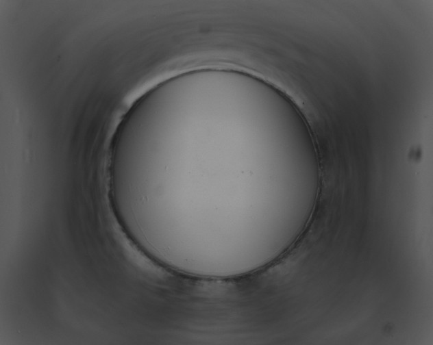 X0000091521526200708311237