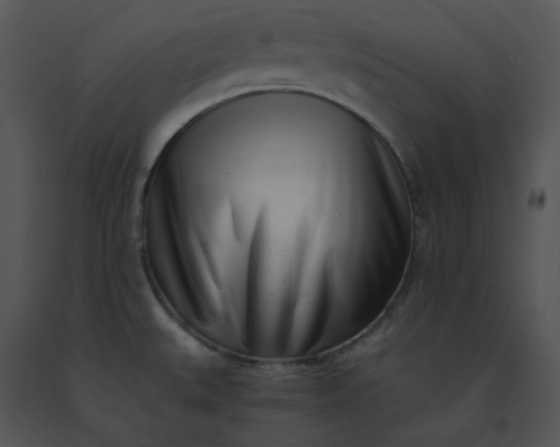 X0000091521527200708311237