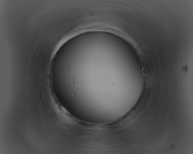 X0000091521530200708311237