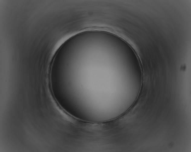 X0000091521533200708311237