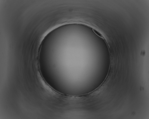 X0000091521534200708311237
