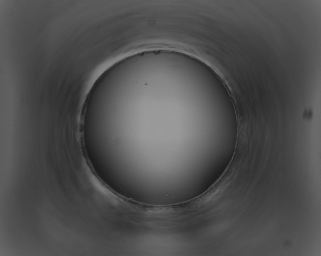 X0000091521535200708311237