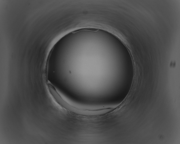 X0000091521536200708311238