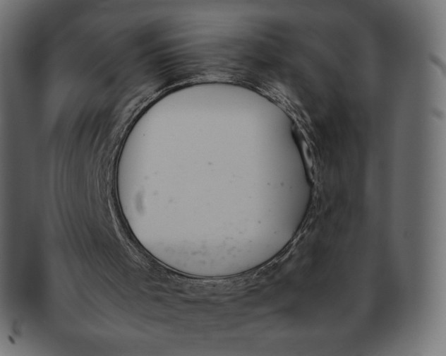 X0000091520001200709071028