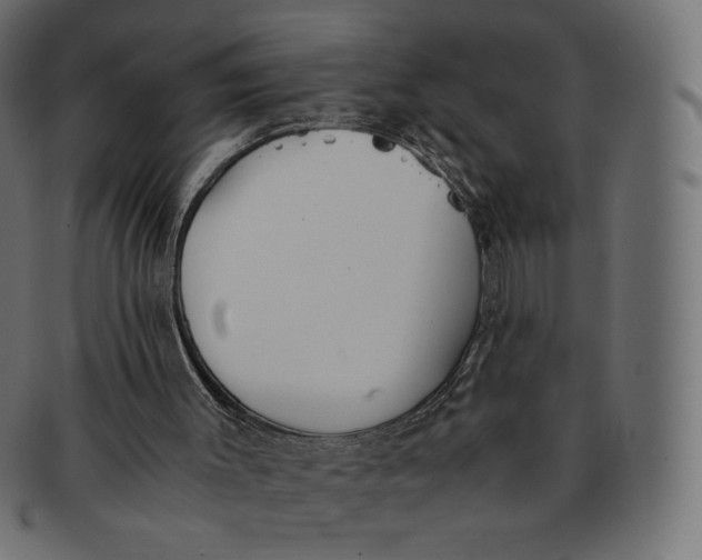 X0000091520003200709071028