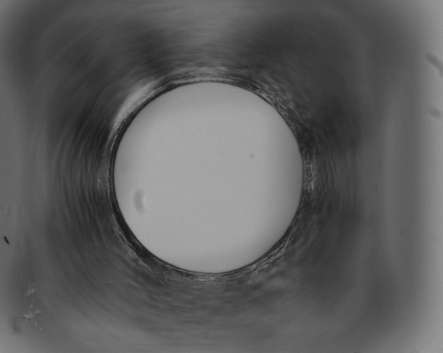 X0000091520004200709071028