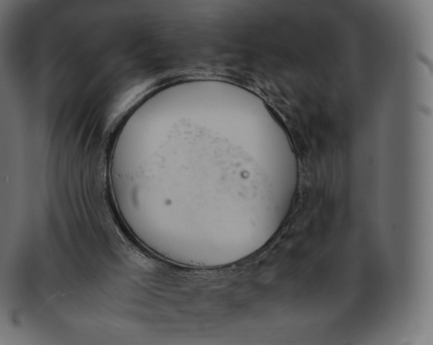 X0000091520005200709071028