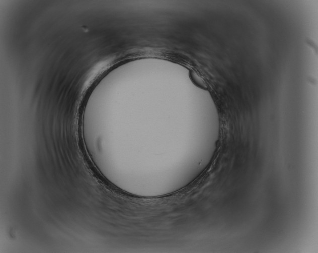 X0000091520006200709071028