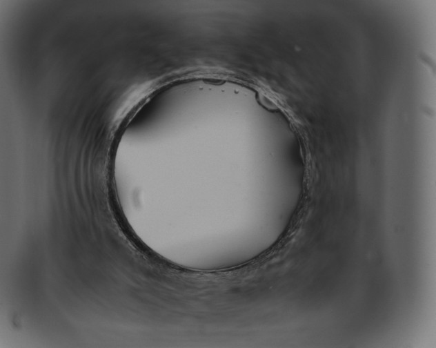 X0000091520007200709071028