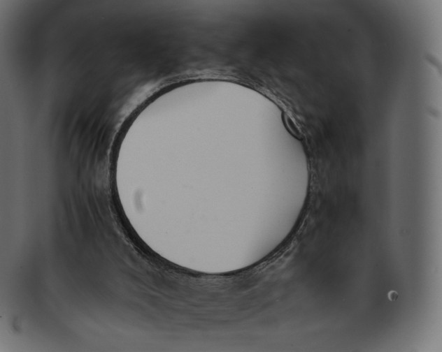 X0000091520008200709071028