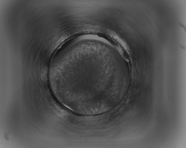 X0000091520009200709071028