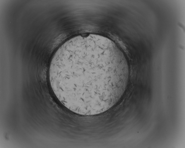 X0000091520010200709071028