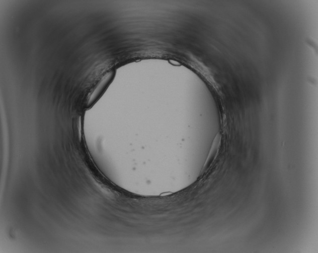 X0000091520013200709071028