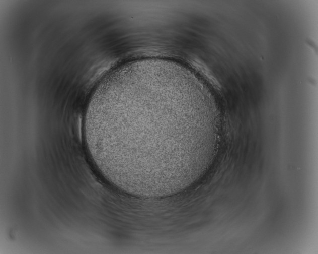 X0000091520014200709071028