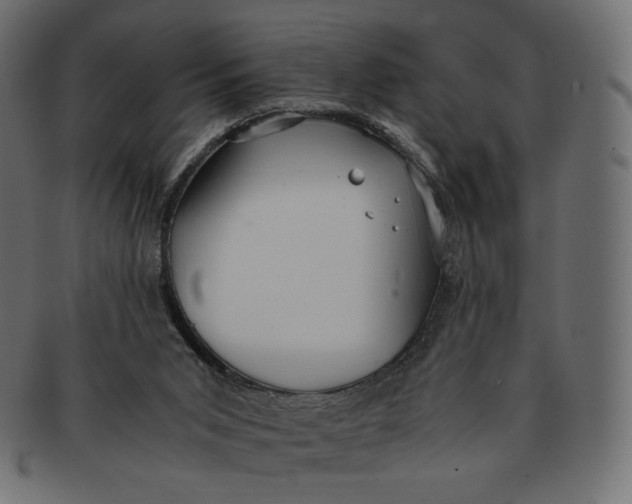 X0000091520015200709071028