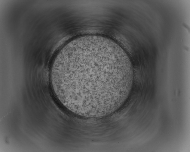 X0000091520016200709071028