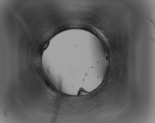 X0000091520017200709071028