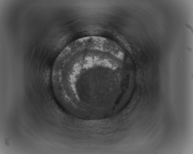 X0000091520018200709071028