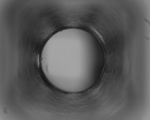 X0000091520020200709071028