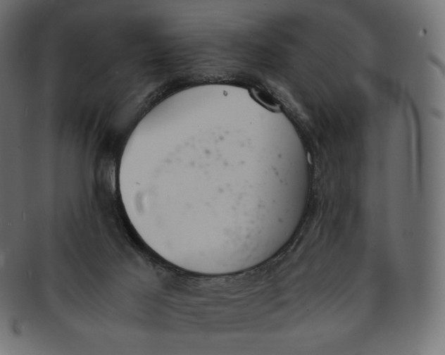 X0000091520021200709071028