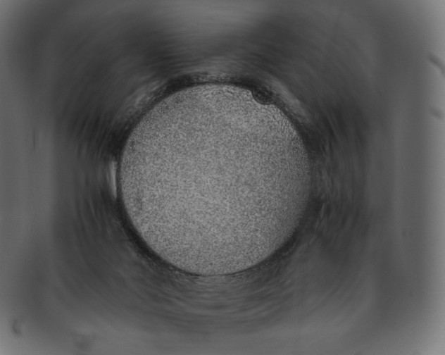 X0000091520022200709071028