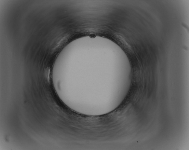 X0000091520024200709071028