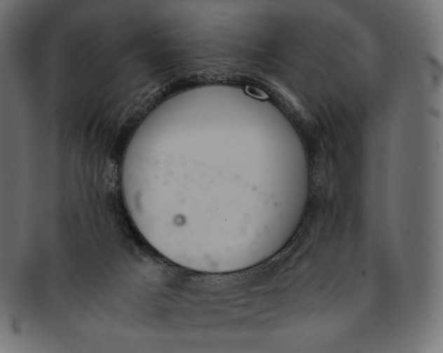 X0000091520025200709071028