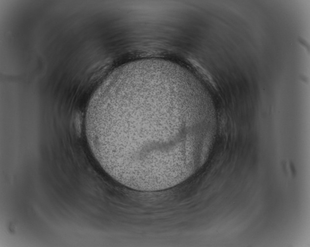 X0000091520026200709071028