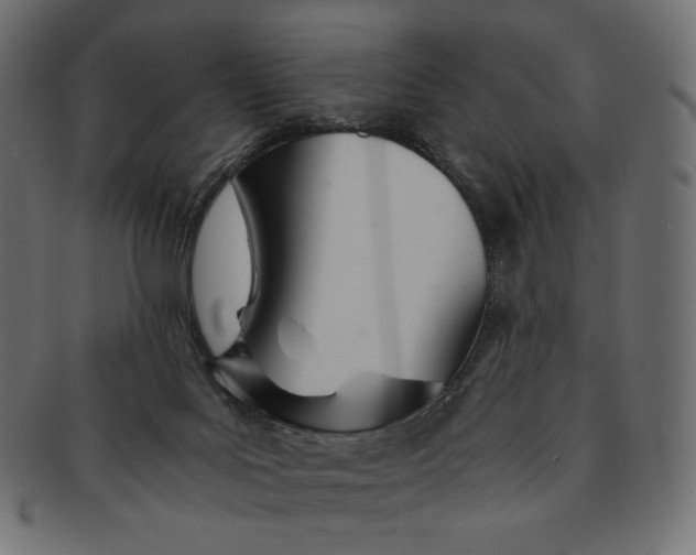 X0000091520027200709071028