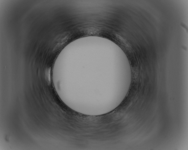 X0000091520028200709071028