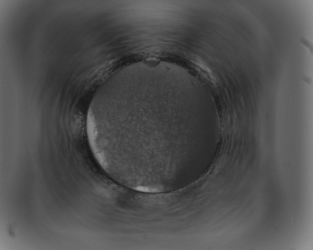 X0000091520029200709071028