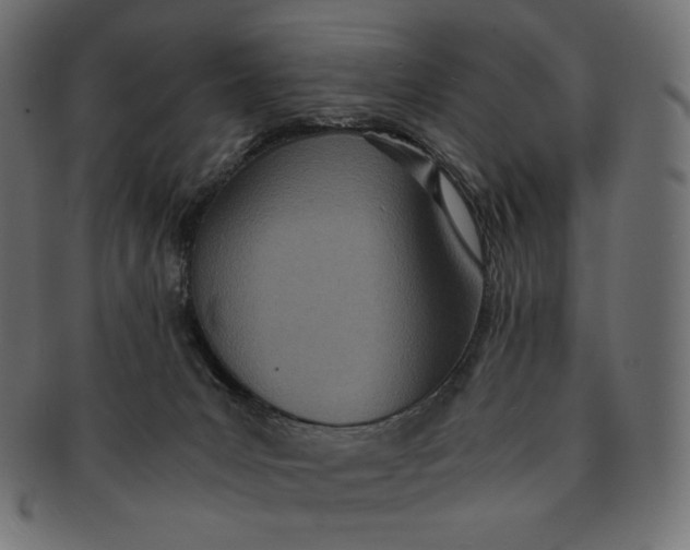 X0000091520031200709071028