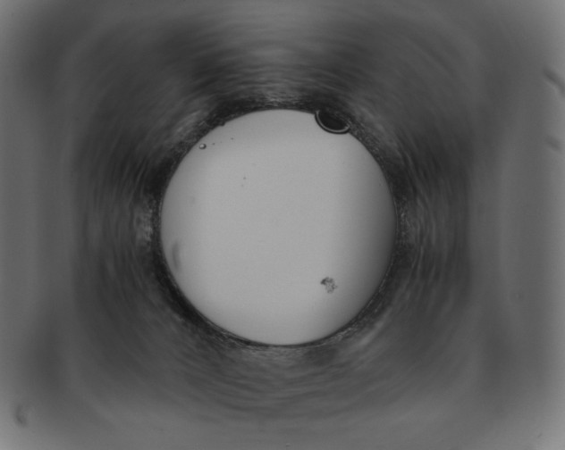 X0000091520032200709071028