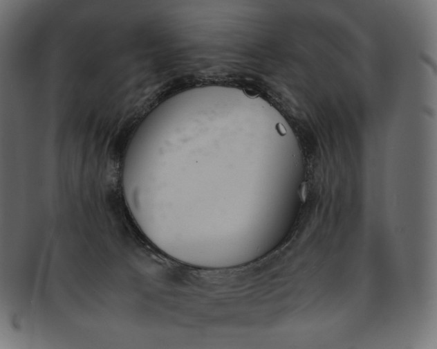 X0000091520033200709071028