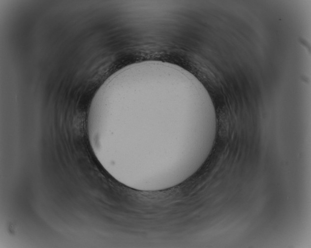 X0000091520034200709071028