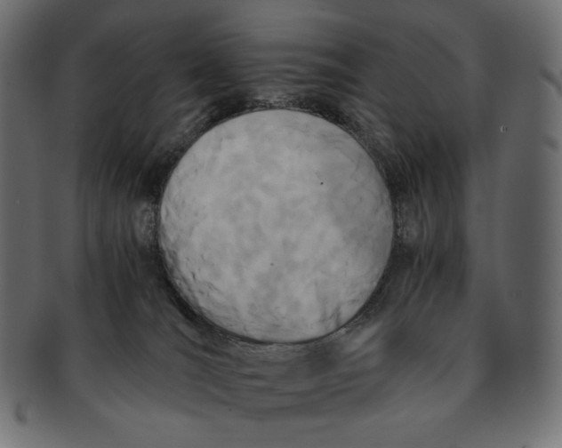 X0000091520036200709071028