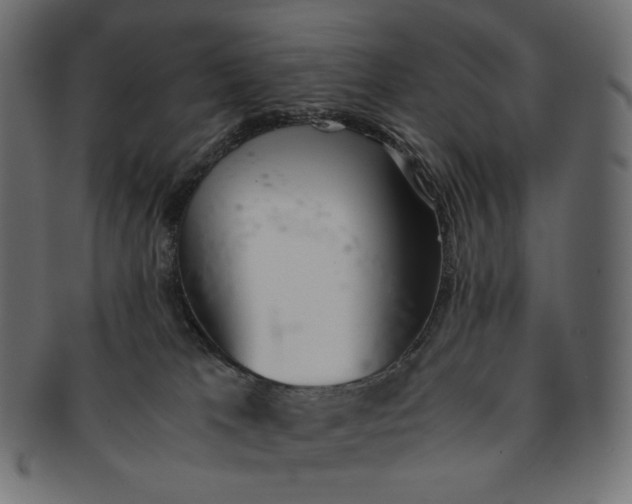 X0000091520037200709071027