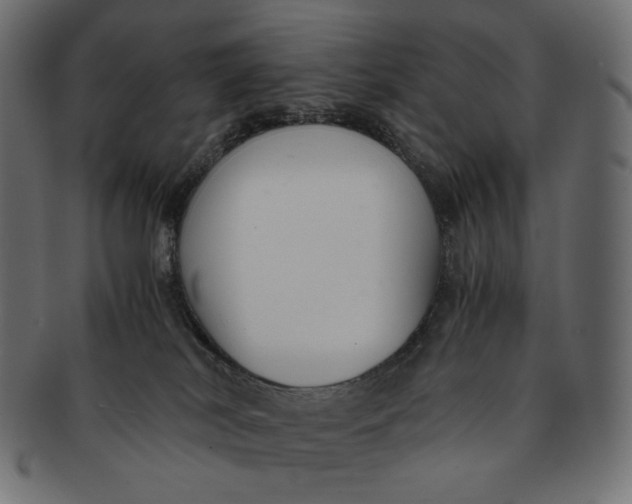 X0000091520038200709071027